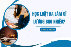 học luật ra làm gì