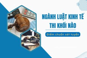 Luật Kinh tế thi khối nào?