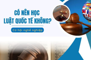 Có nên học Luật Quốc tế không?