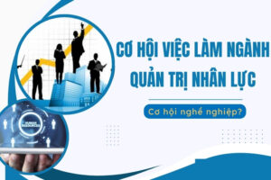 Cơ hội việc làm của ngành Quản trị nhân lực