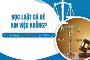 Học ngành Luật có dễ xin việc không?