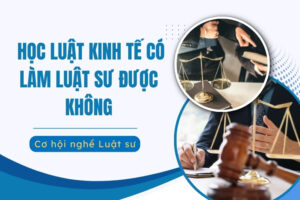 học luật kinh tế có làm luật sư được không