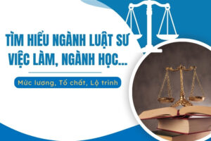 tìm hiểu về ngành luật sư