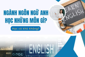 Ngành Ngôn ngữ Anh học những môn gì?