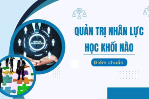 Quản trị nhân lực học khối nào?