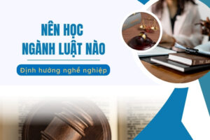 nên học ngành Luật nào