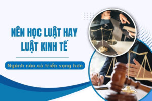 Nên học Luật hay Luật Kinh tế