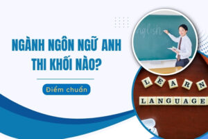 Ngành Ngôn ngữ Anh có xét tuyển khối C00 không