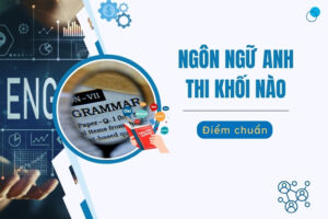 Ngôn ngữ anh thi khối nào?