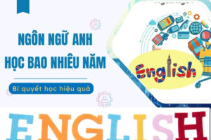 Ngôn ngữ Anh học bao nhiêu năm?