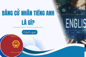 bằng cử nhân tiếng anh là gì