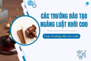 các trường đào tạo ngành luật khối c00