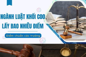 Ngành Luật khối C00 lấy bao nhiêu điểm