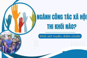 Ngành Công tác xã hội thi khối nào?
