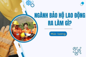 Ngành Bảo hộ lao động ra làm gì?