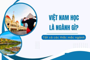 Việt Nam học là ngành gì?