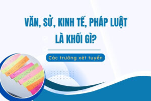 văn sử kinh tế pháp luật là khối gì