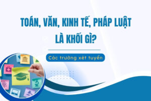 Toán văn kinh tế pháp luật là khối nào?