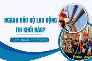 ngành Bảo hộ lao động thi khối nào